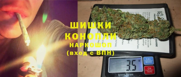 прущие грибы Вязники