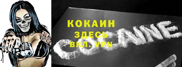 прущие грибы Вязники