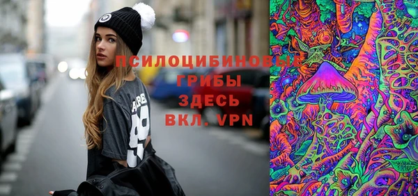 PSILOCYBIN Волоколамск