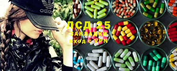 гидра Вяземский