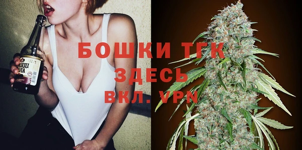 прущие грибы Вязники