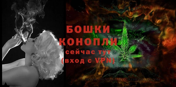 мдпв Волосово